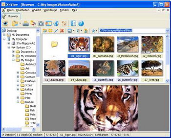 XnView v.1.96 RC1