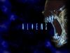 wallpaper name = Aliens vs predator wallpaper 1
wallpaper name=aliens_vs_predator01.jpg
wallpaper size=54KB
wallpaper Dimensions=1024x768
wallpaper Date added=Aug 02, 2006 aliens_vs_predator01.jpg